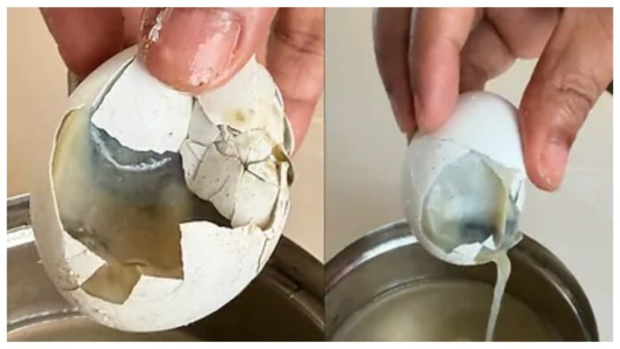 swiggy-dr-hen-instamart-eggs-controversy